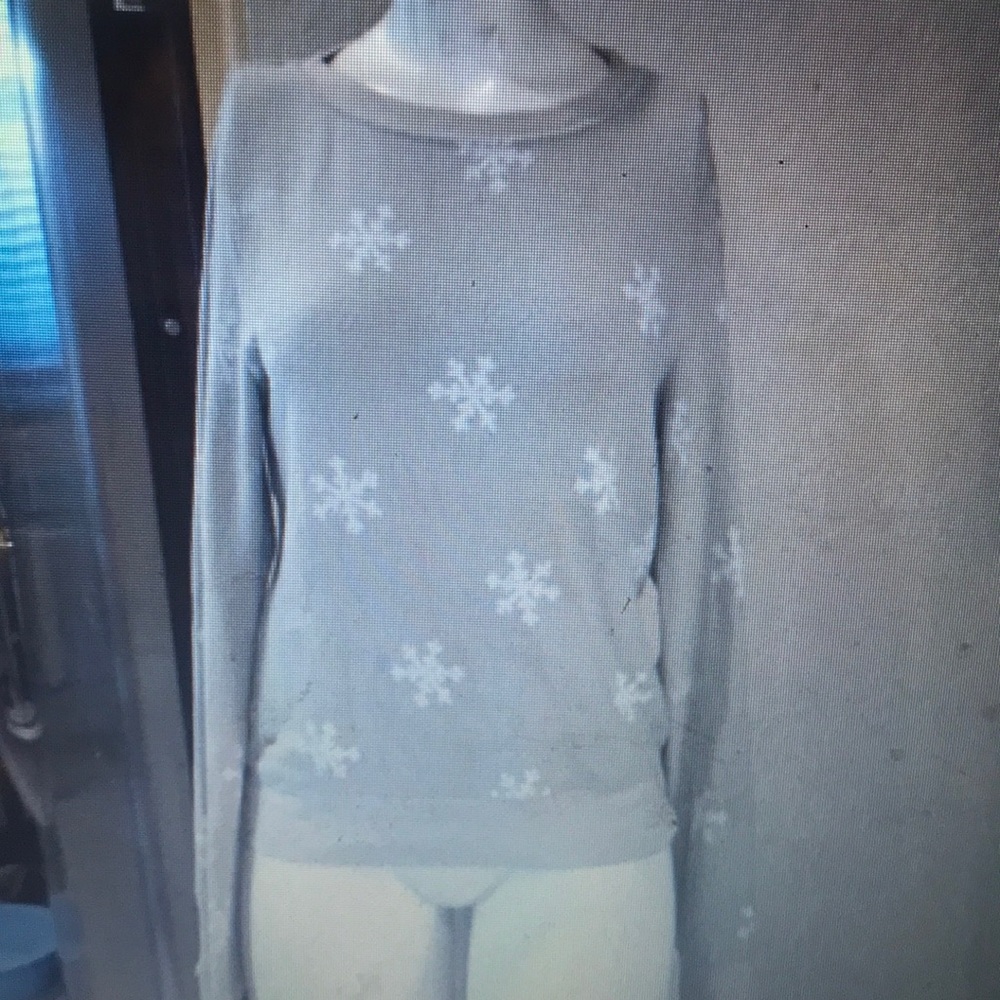 Wildfox wonderland sweatshirt